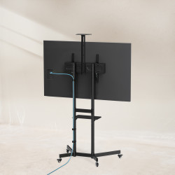 fs1151m-b-5.jpg