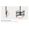 650376-6.jpg