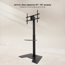 minos-2.jpg