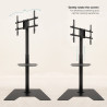minos-4.jpg