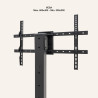 minos-6.jpg