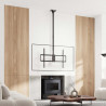 ct100tsle-393-5.jpg